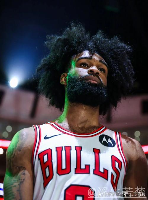 怀特砍下28分 公牛主场力擒猛龙 怀特砍下28分 公牛主场力擒猛龙