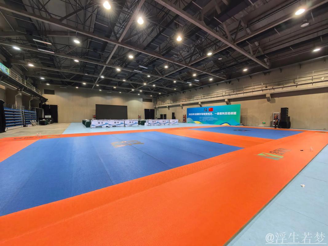 2025年全国柔道积分赛重庆荣昌站正式拉开帷幕